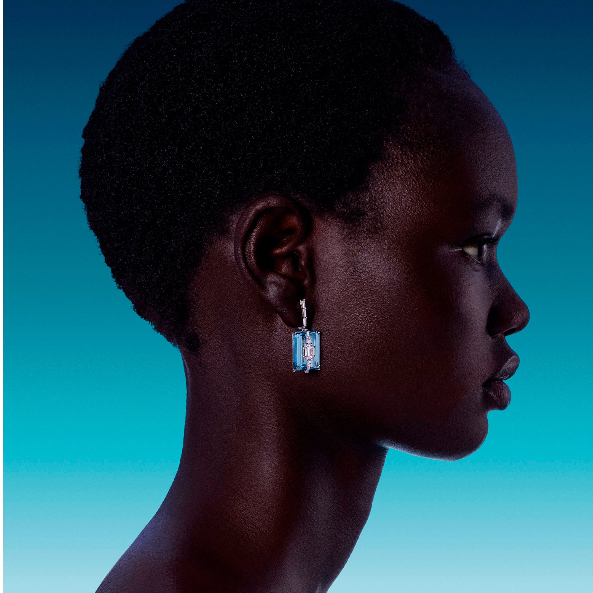 Kissing - Diamond and Aquamarine Earrings